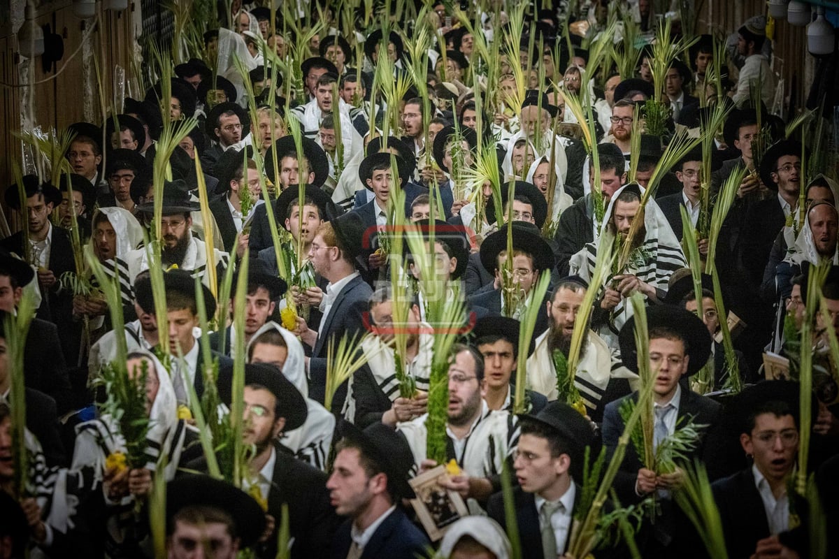 הושענא רבה בשער הכותנה בכניסה להר הבית