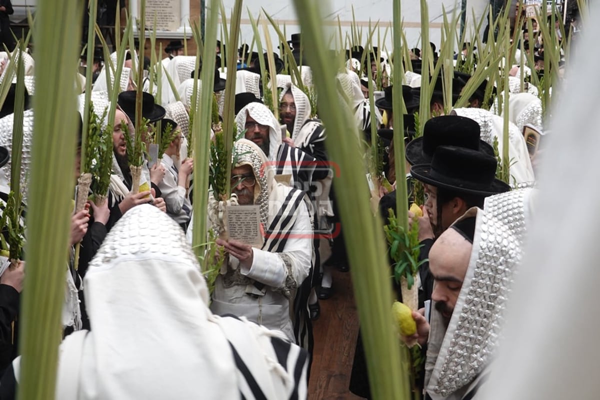 האדמו"ר מסאטמר בהושענא רבה 