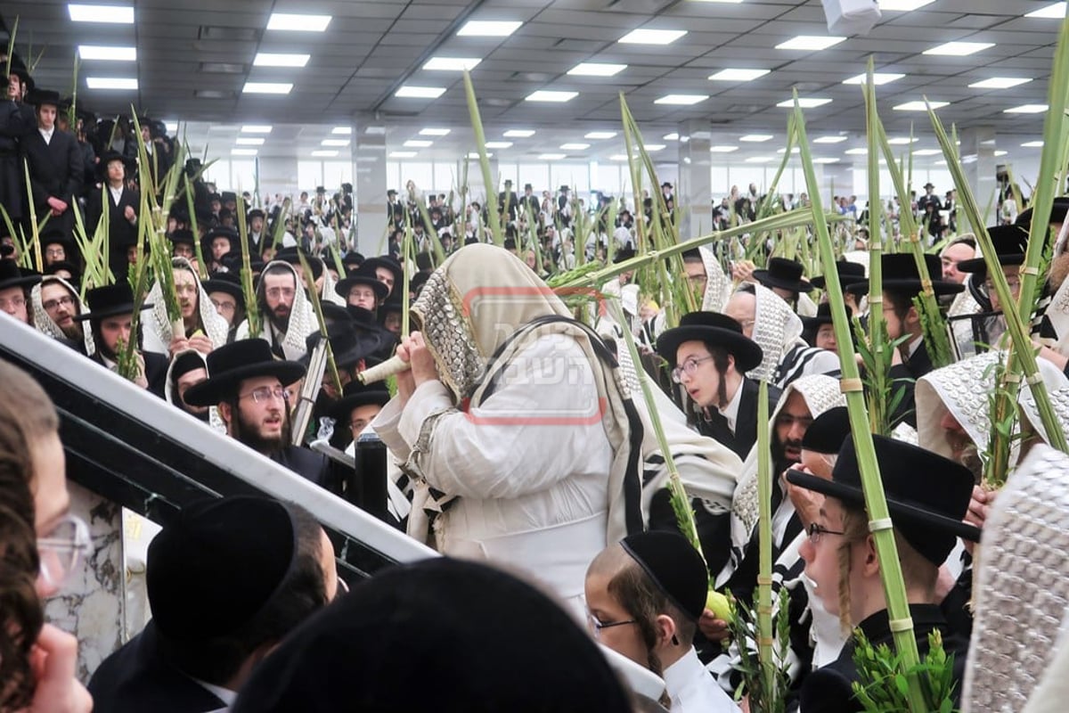 האדמו"ר מסאטמר בהושענא רבה 