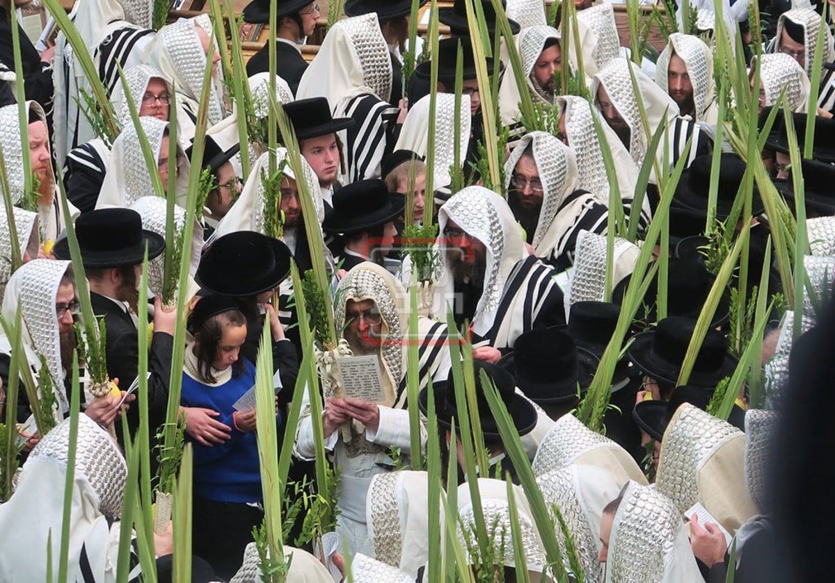 האדמו"ר מסאטמר בהושענא רבה 