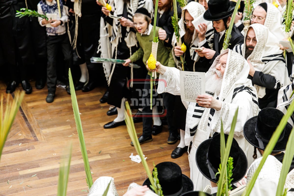 האדמו"ר מבאבוב בהושענא רבה