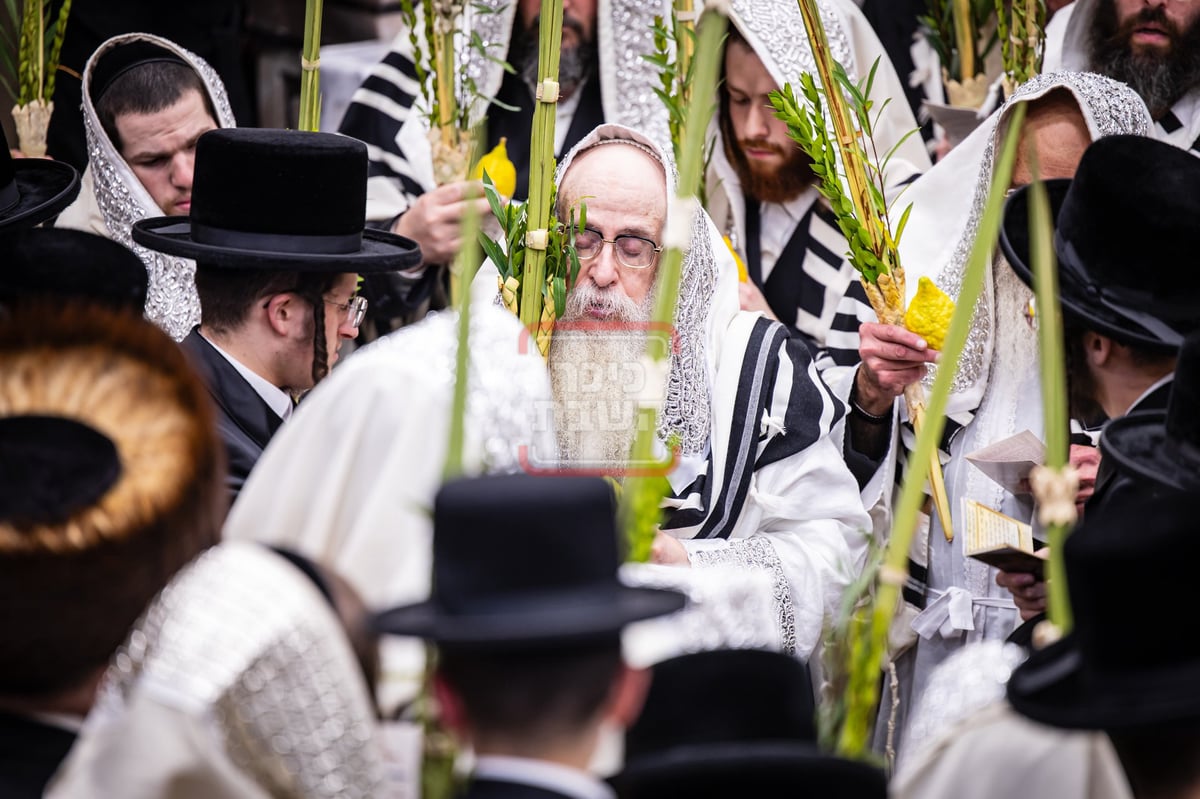 הושענא רבה בחצה"ק צאנז קלויזנבורג 