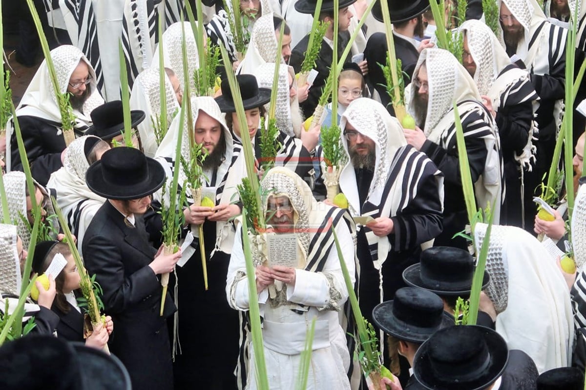 האדמו"ר מסאטמר בהושענא רבה 