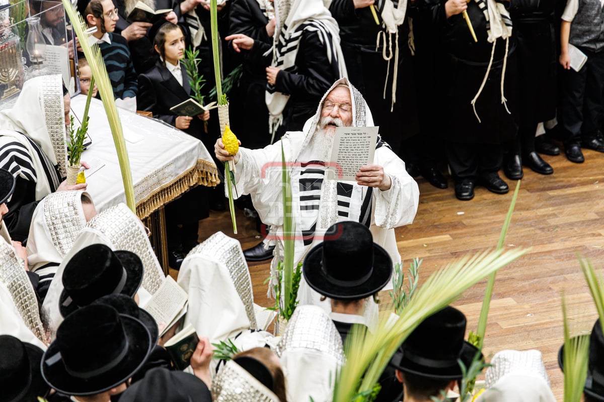 האדמו"ר מבאבוב בהושענא רבה