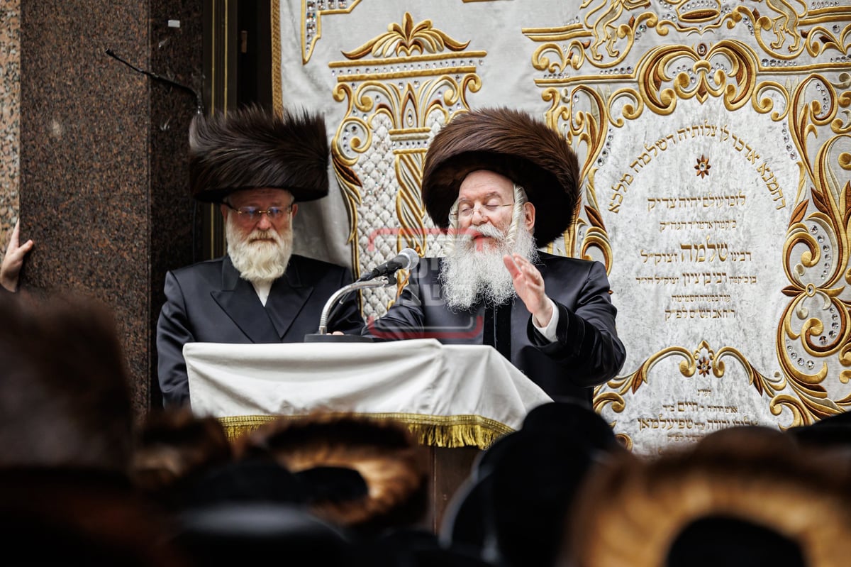 האדמו"ר מבאבוב בהכנסת ספר תורה לבית מדרשו בסוכות 