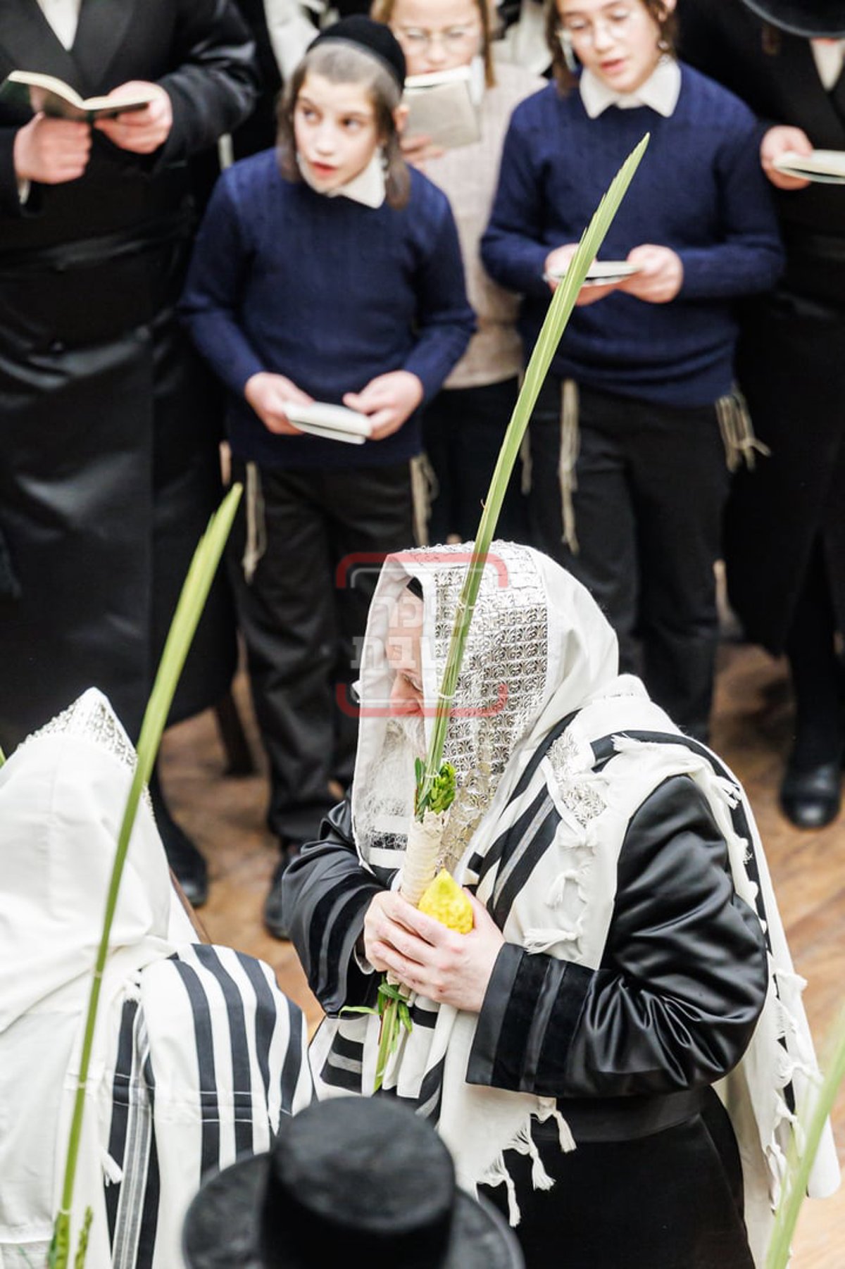 האדמו"ר מבאבוב בנענועים בחג הסוכות 