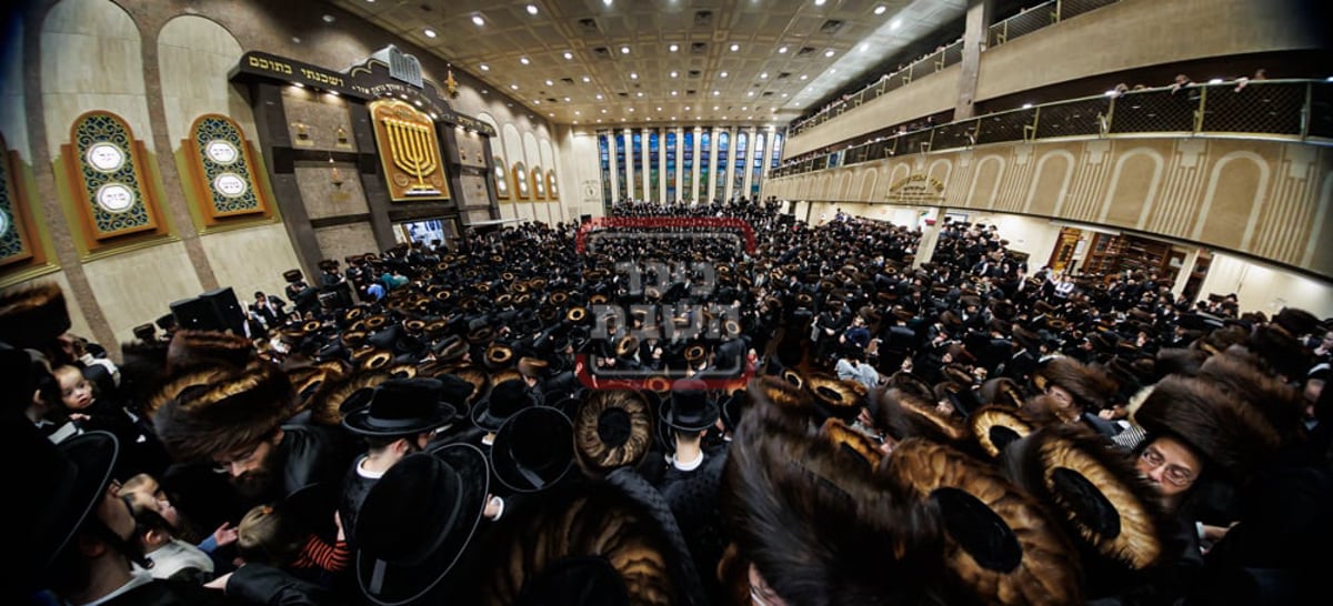 האדמו"ר מבאבוב בהכנסת ספר תורה לבית מדרשו בסוכות 