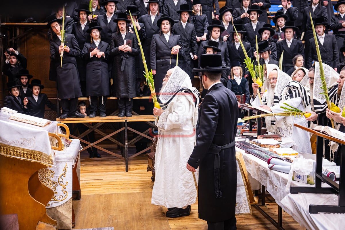 הושענא רבה בחצה"ק צאנז קלויזנבורג 