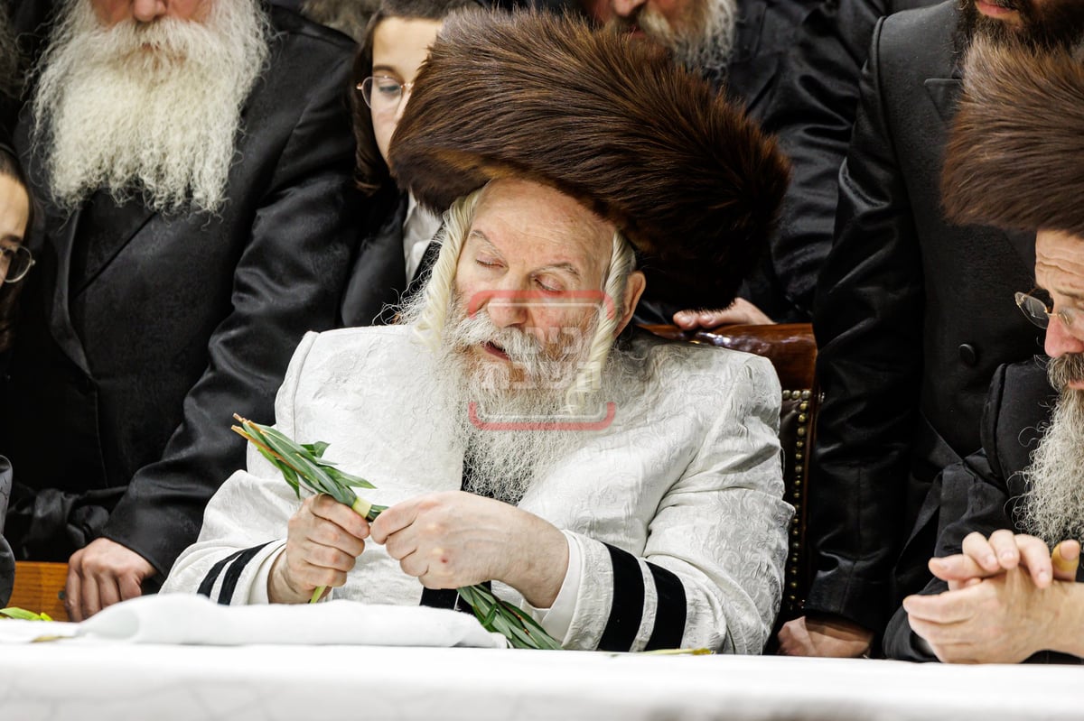 האדמו"ר מבאבוב בהושענא רבה