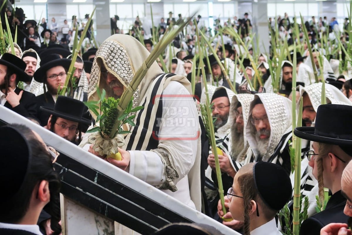 האדמו"ר מסאטמר בהושענא רבה 