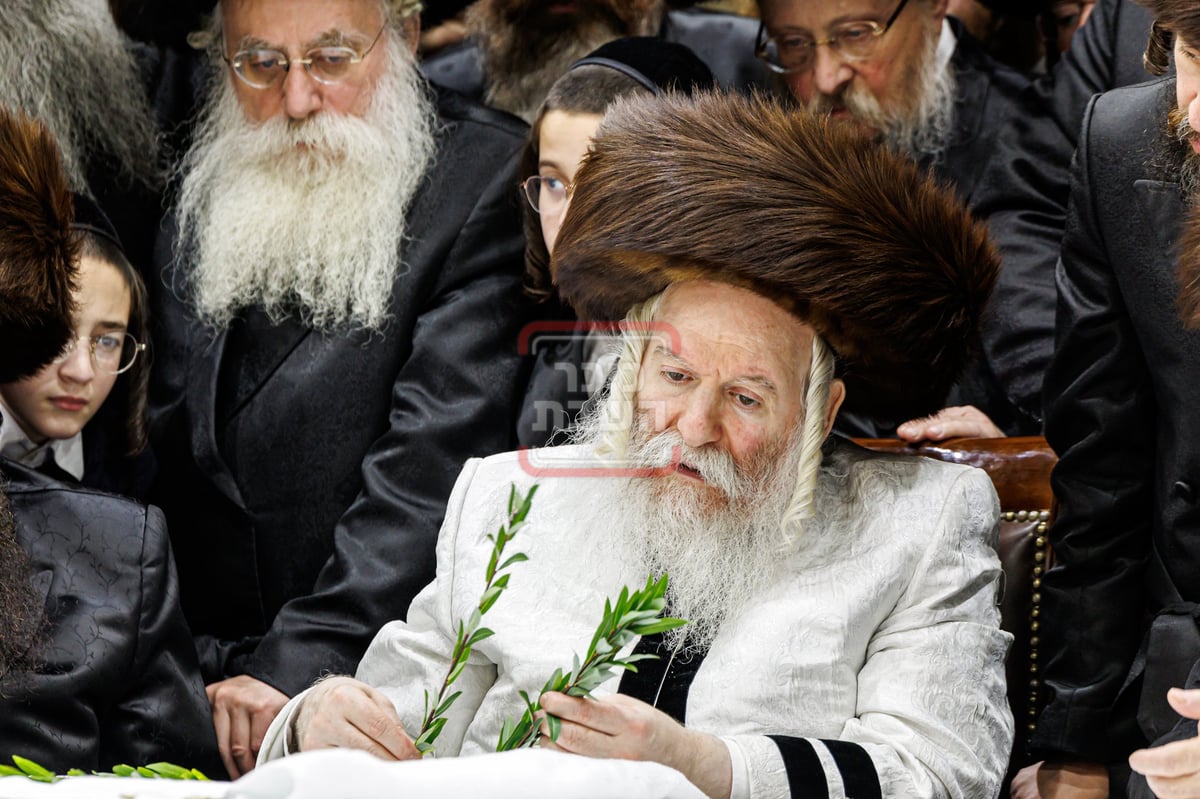 האדמו"ר מבאבוב בהושענא רבה