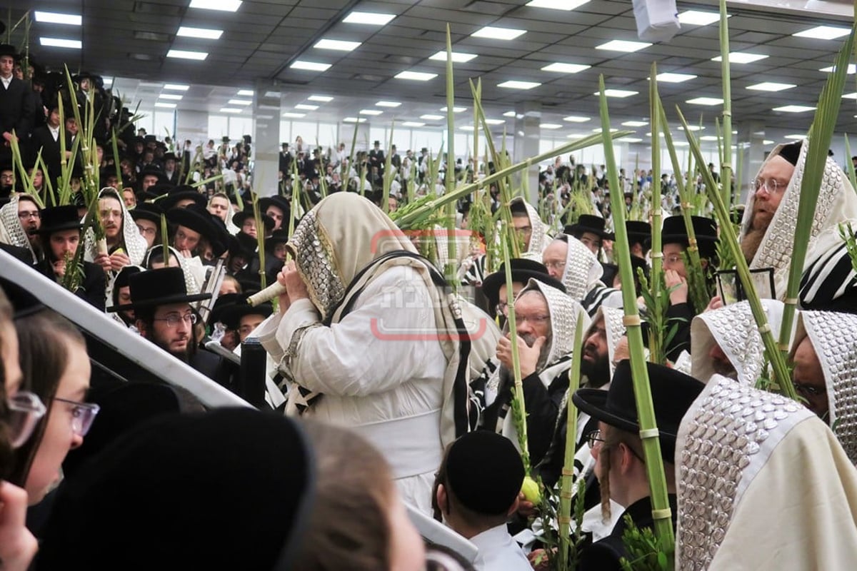 האדמו"ר מסאטמר בהושענא רבה 