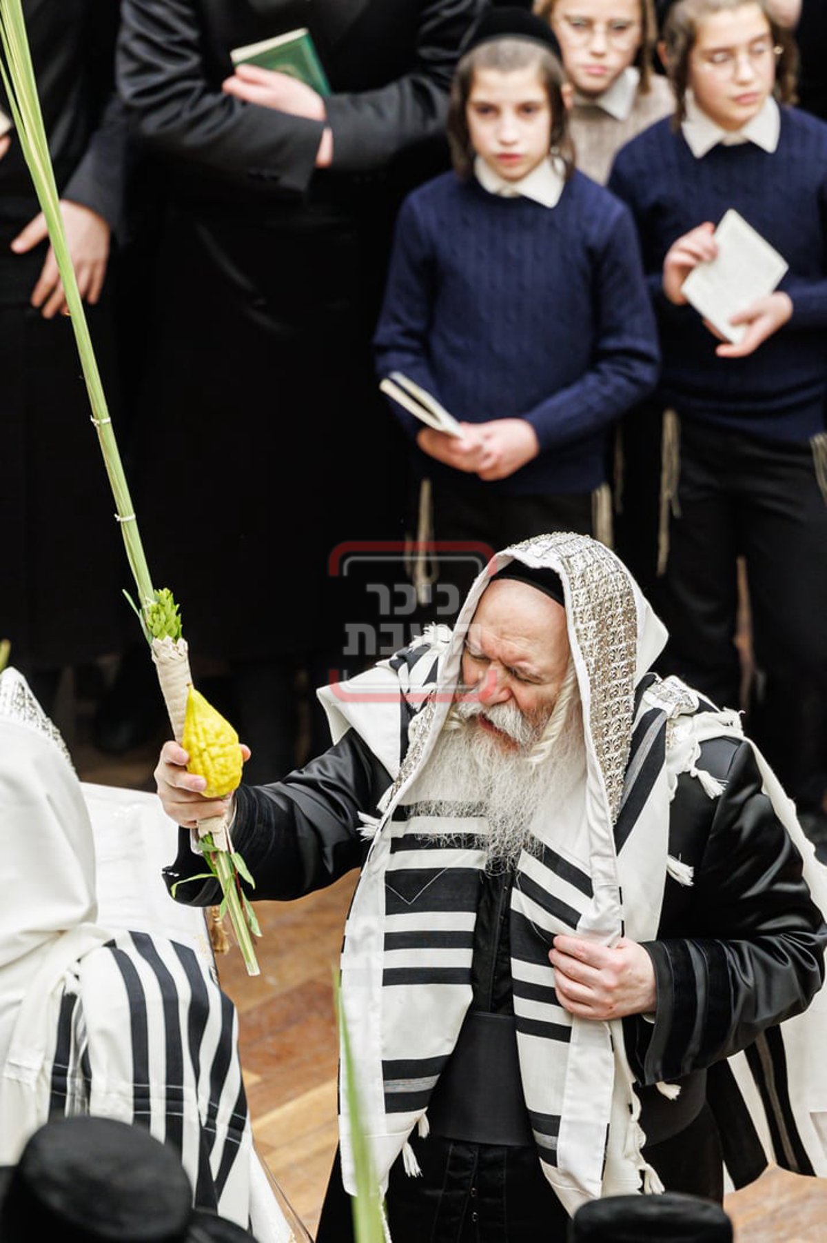 האדמו"ר מבאבוב בנענועים בחג הסוכות 