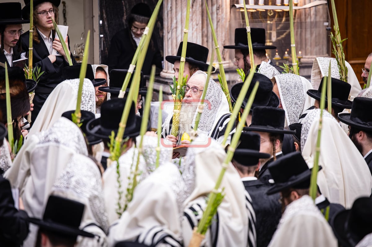 הושענא רבה בחצה"ק צאנז קלויזנבורג 