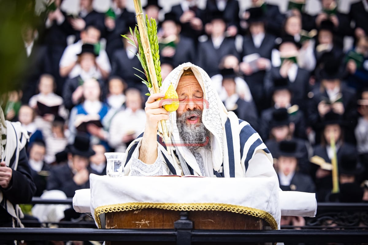 סוכות ושמחת תורה בחצה"ק באבוב 45 