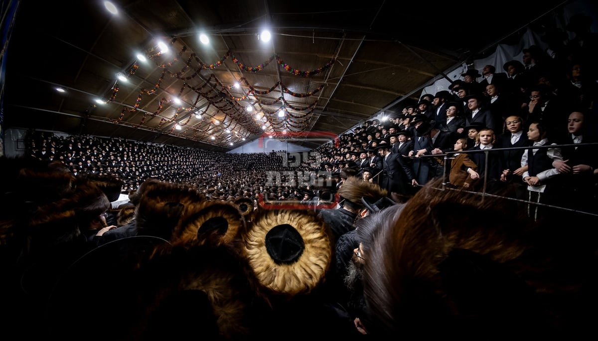 חג הסוכות ושמחת תורה בחצה"ק סאטמר 