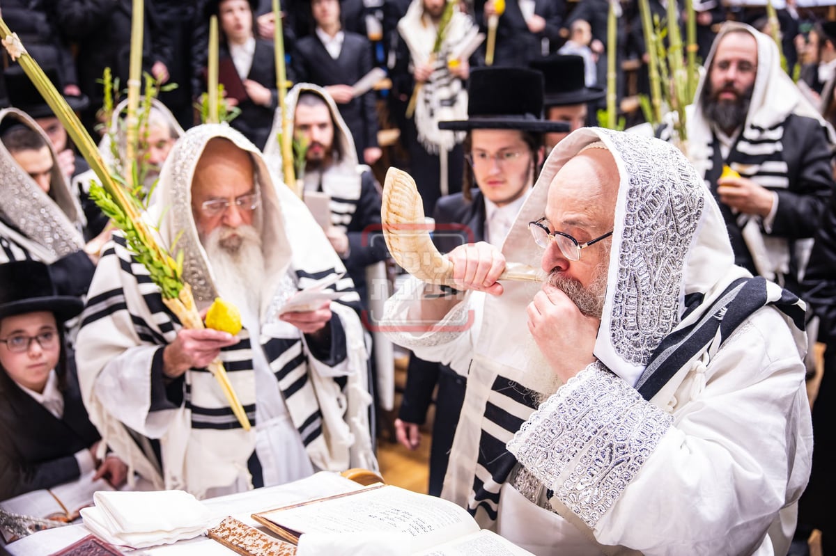 הושענא רבה בחצה"ק צאנז קלויזנבורג 