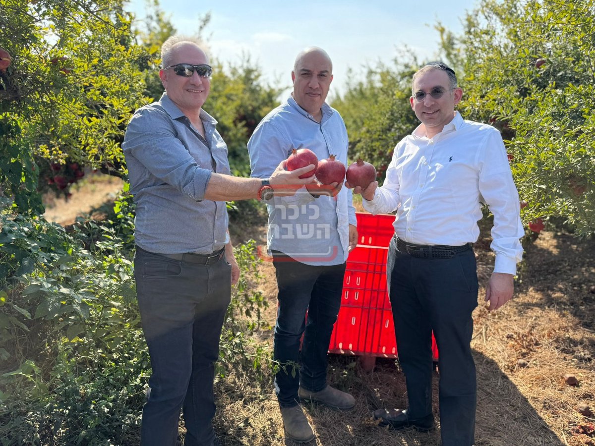 זופניק בכיכר • כל התמונות, הנייעס והחשיפות של השבוע