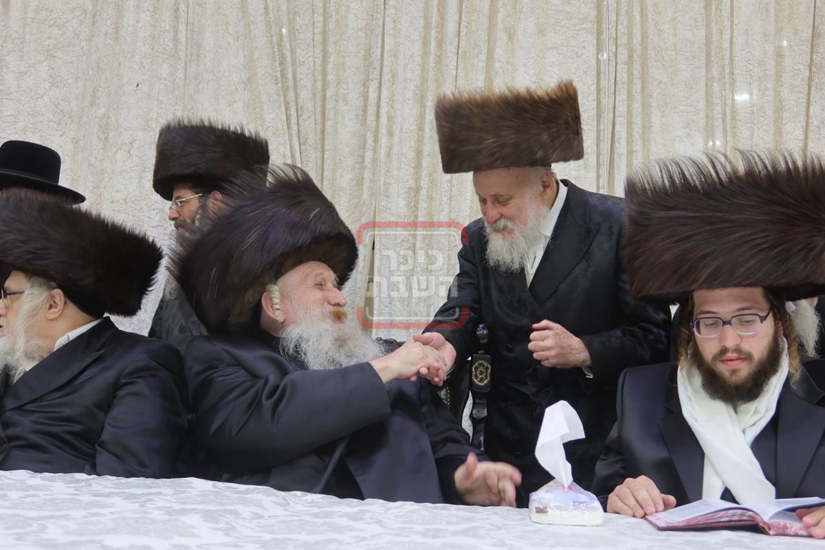 שמחת נישואי נכדי האדמו"ר מטשארנאביל