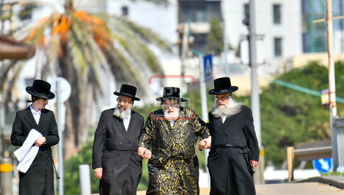 האדמו"ר מויז'ניץ בנאות דשא בנתניה 