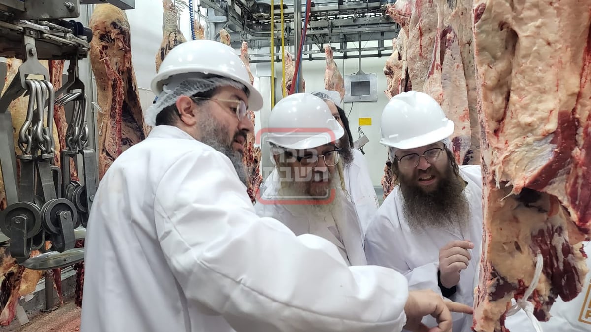 האדמו"ר מסאטמר בביקור בבית השחיטה באורגוואי