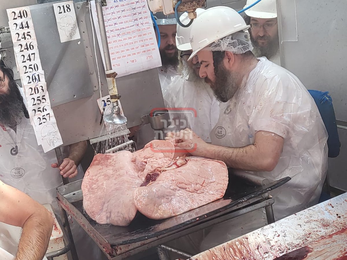 האדמו"ר מסאטמר בביקור בבית השחיטה באורגוואי