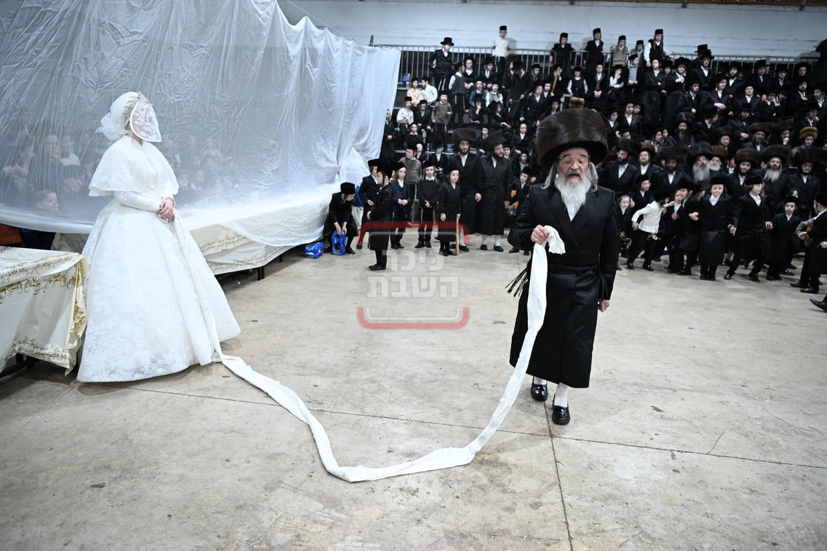 שמחת בית מכנובקא בעלזא - מאור החיים - זוויעהיל 