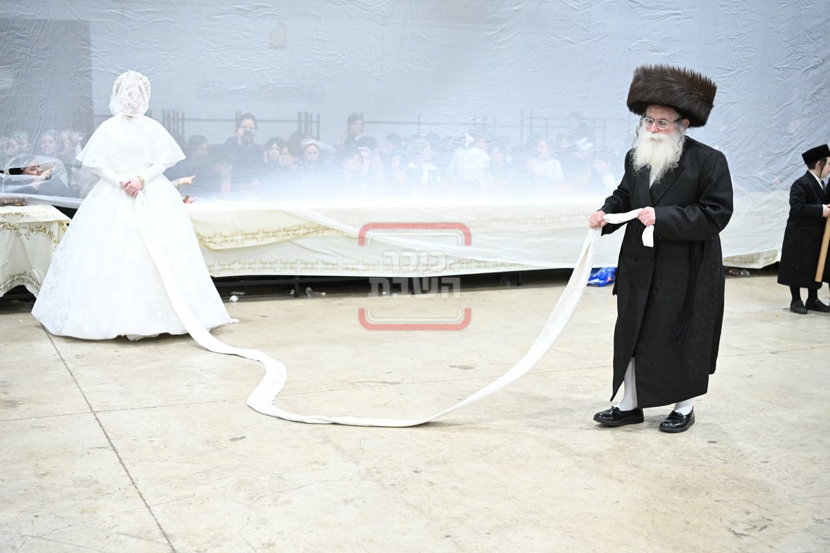 שמחת בית מכנובקא בעלזא - מאור החיים - זוויעהיל 