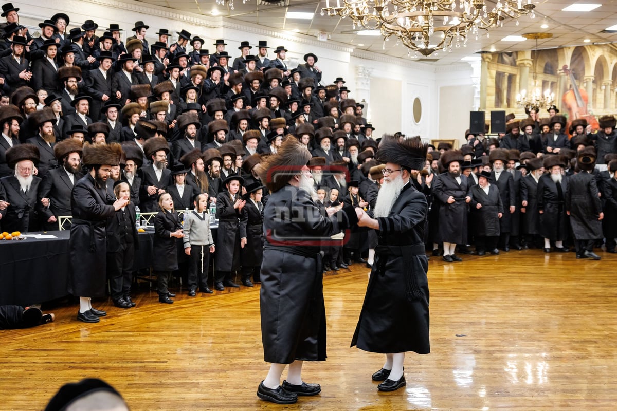 שמחת נישואי נכד האדמו"ר מתולדות צבי דספינקא 