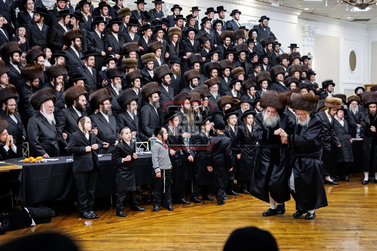 שמחת נישואי נכד האדמו"ר מתולדות צבי דספינקא 