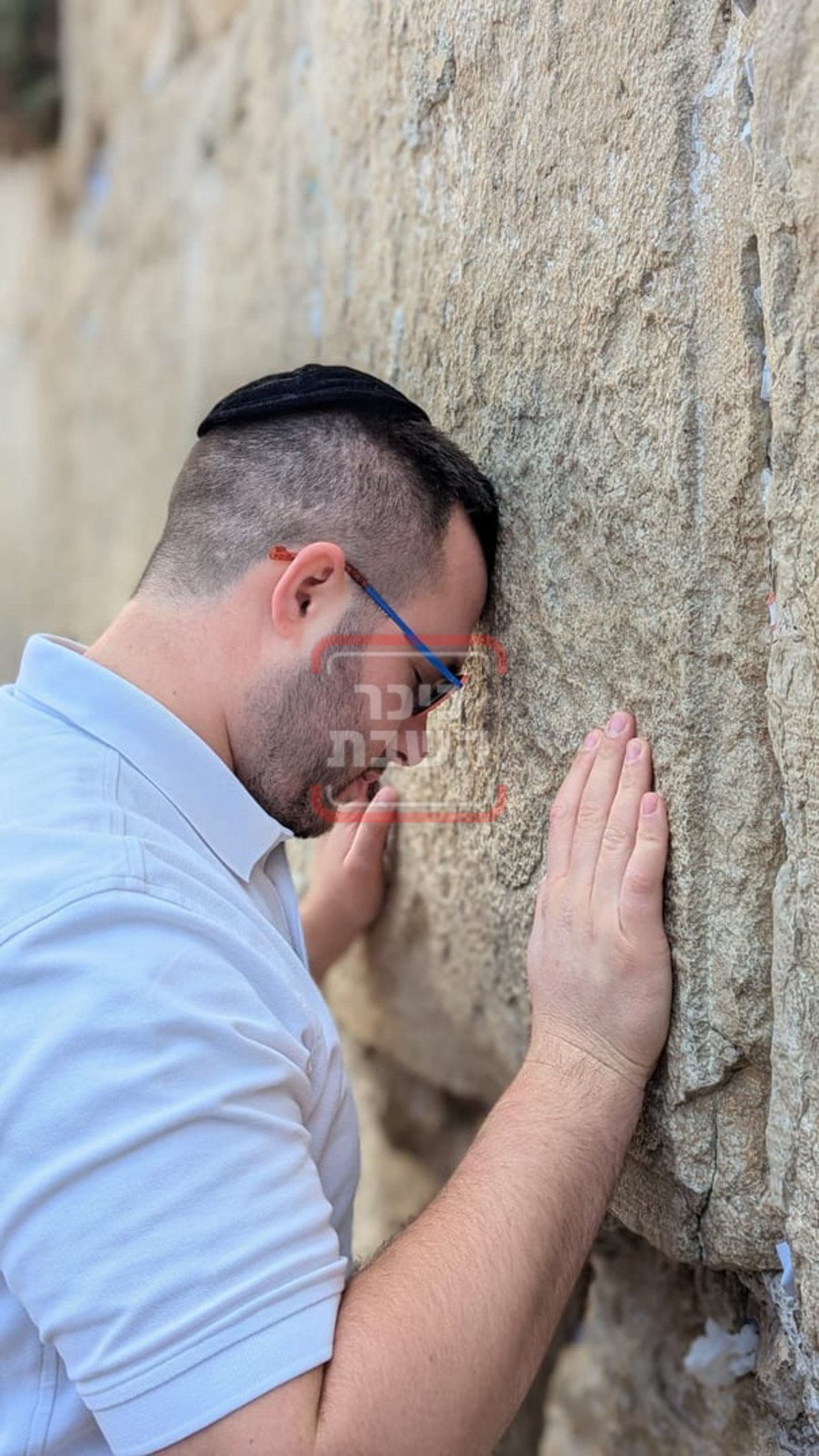 זופניק בכיכר • כל התמונות, הנייעס והחשיפות של השבוע