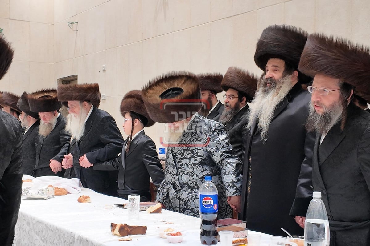 שמחת הבר מצווה לנכדי האדמורי"ם ממככנובקא בעלזא - שאץ 