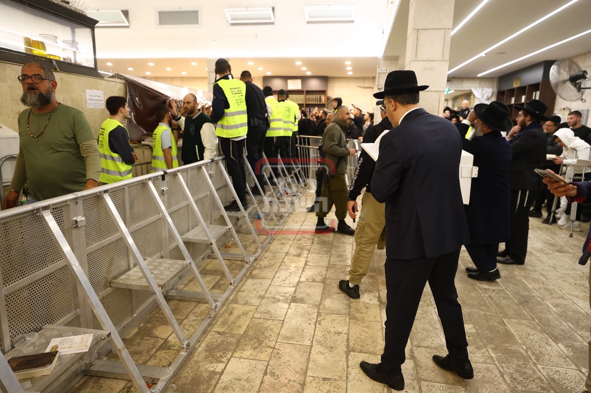 זופניק בכיכר | כל התמונות, הנייעס והחשיפות של השבוע