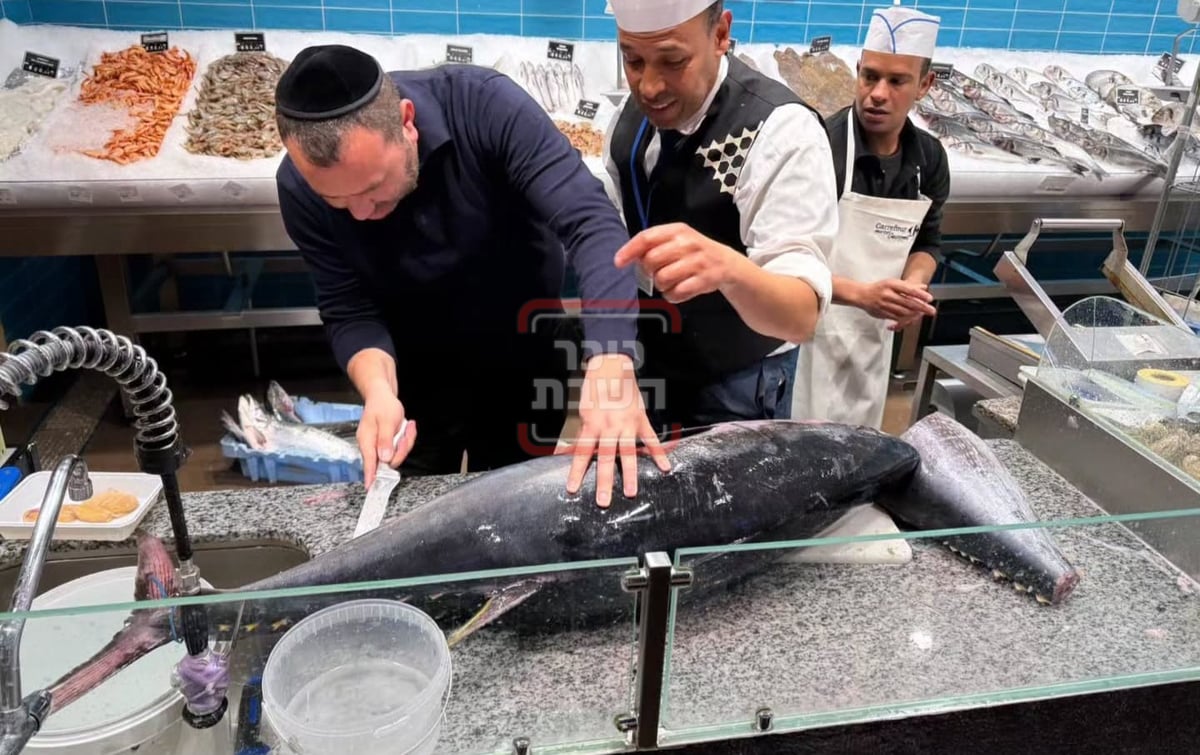 זופניק בכיכר | כל התמונות, הנייעס והחשיפות של השבוע