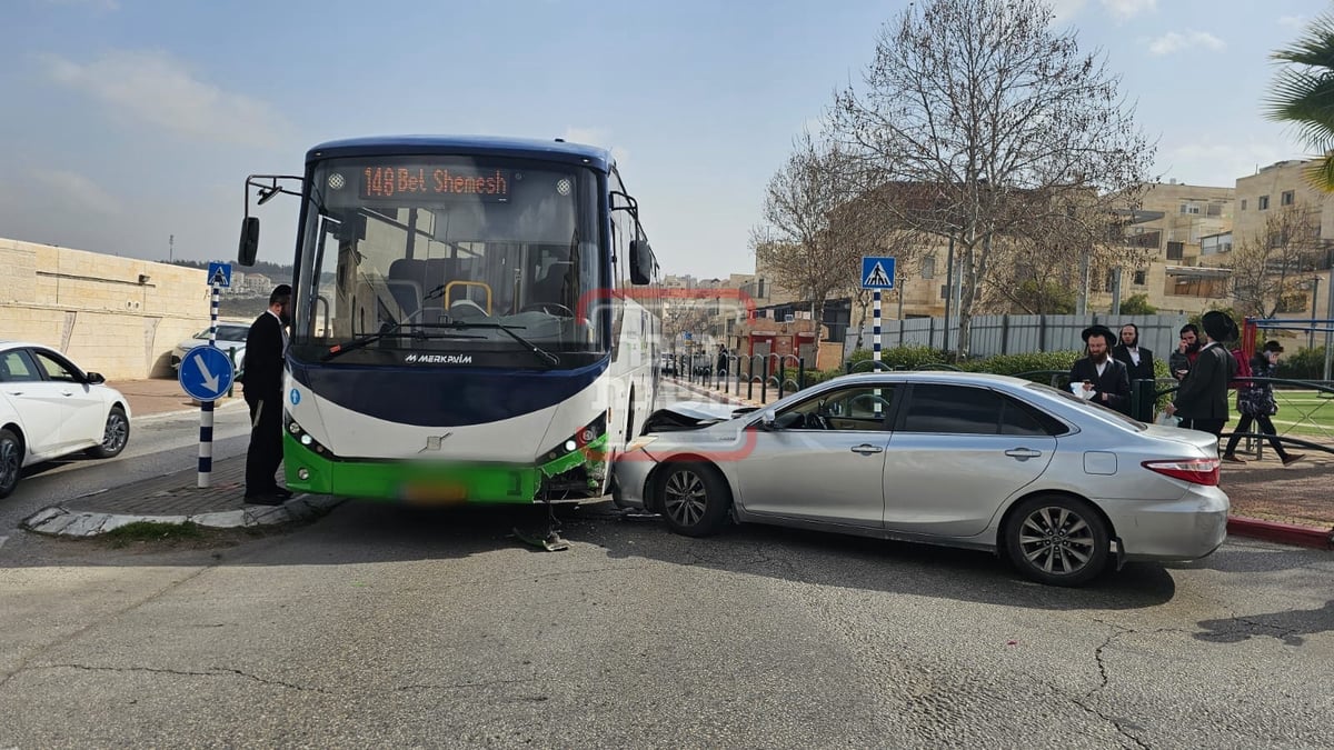 זופניק בכיכר | כל התמונות, הנייעס והחשיפות של השבוע