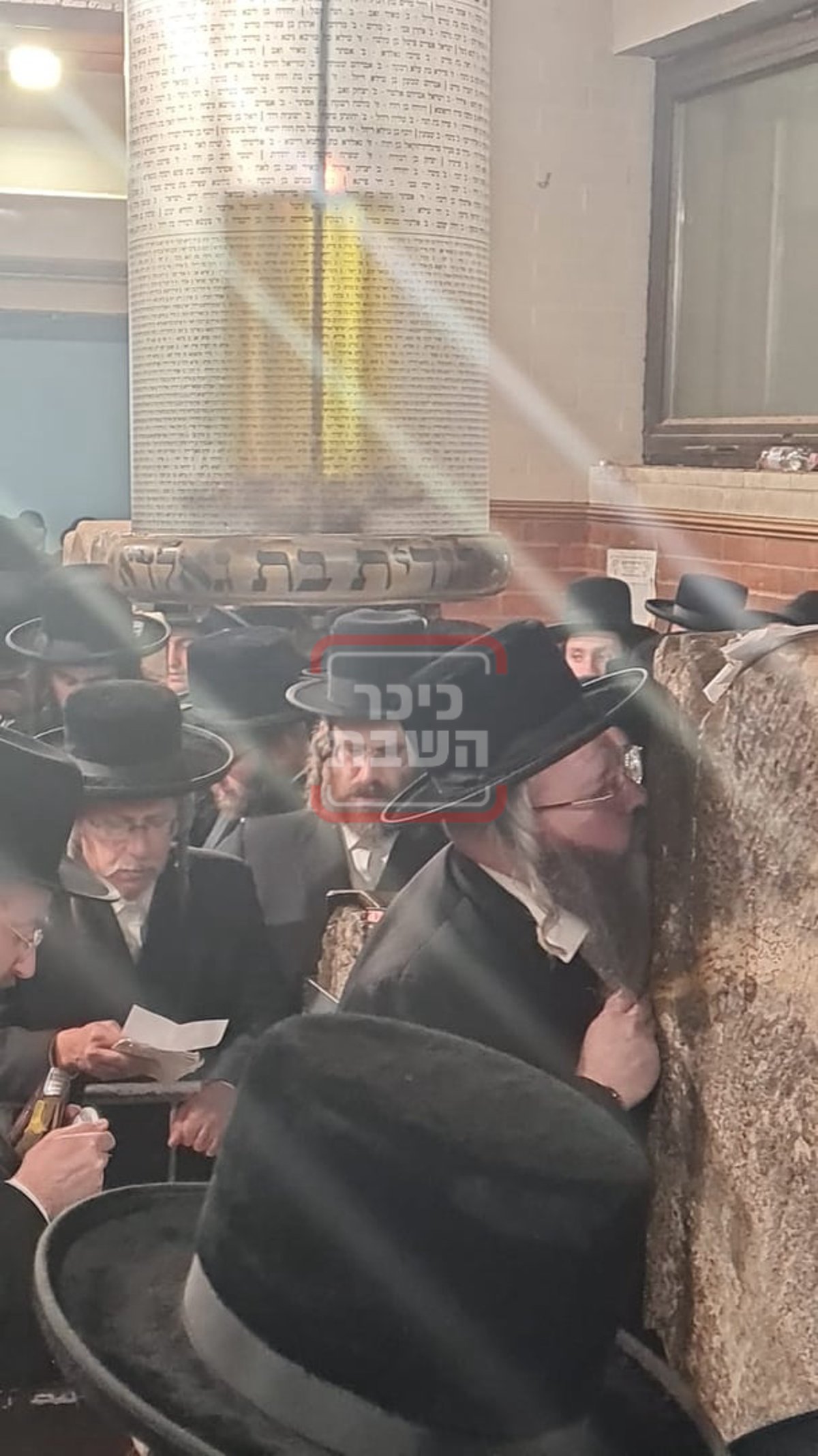 זופניק בכיכר | כל התמונות, הנייעס והחשיפות של השבוע