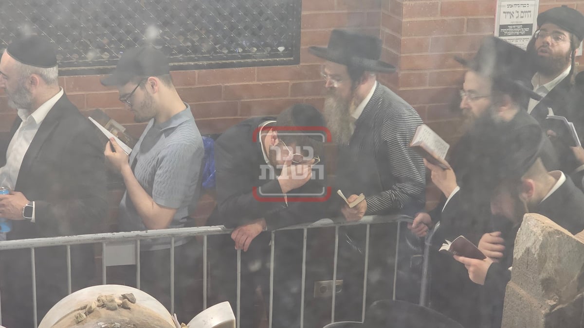 זופניק בכיכר | כל התמונות, הנייעס והחשיפות של השבוע
