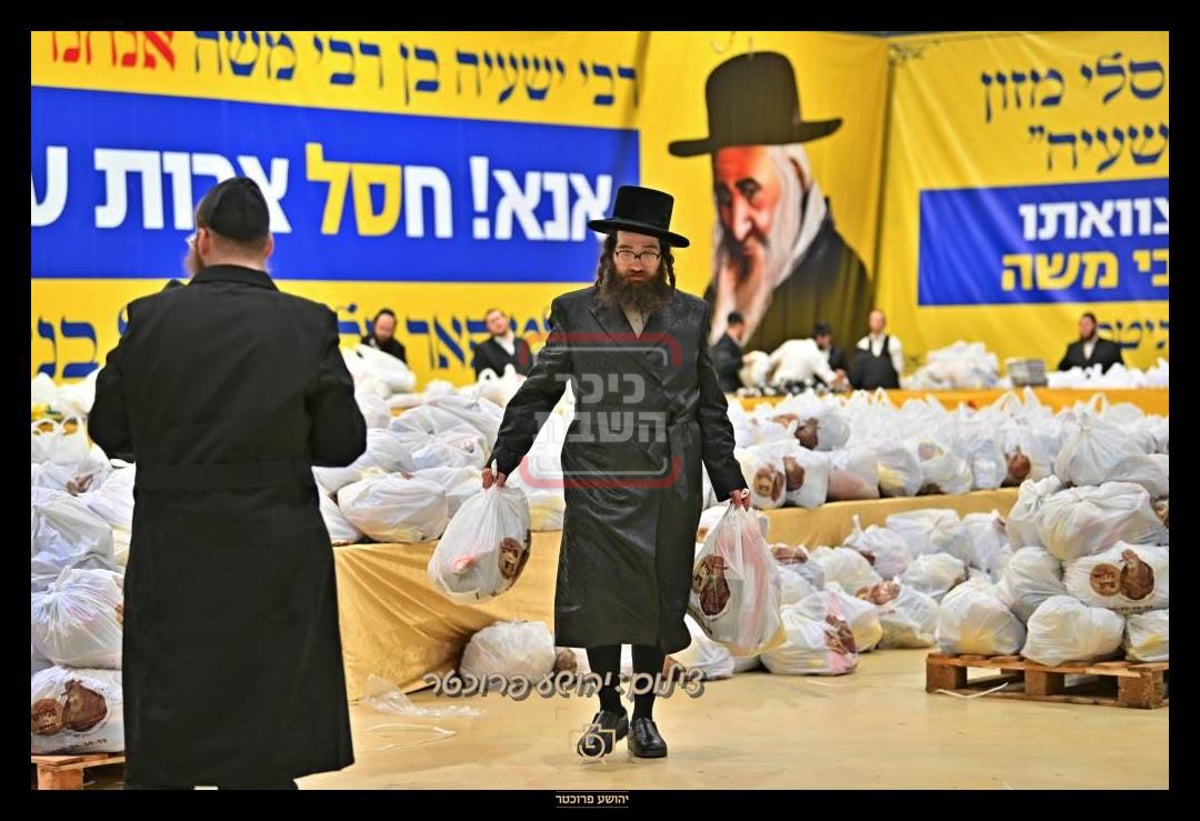 זופניק בכיכר | כל התמונות, הנייעס והחשיפות של השבוע