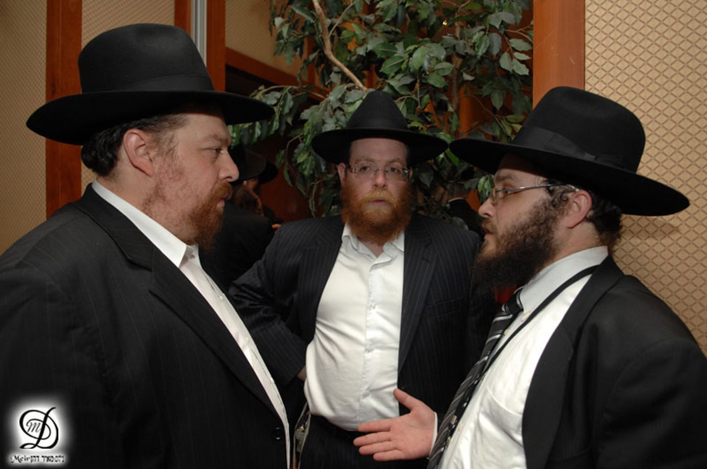 לנדא, בעלזא וחתם-סופר באולם אחד