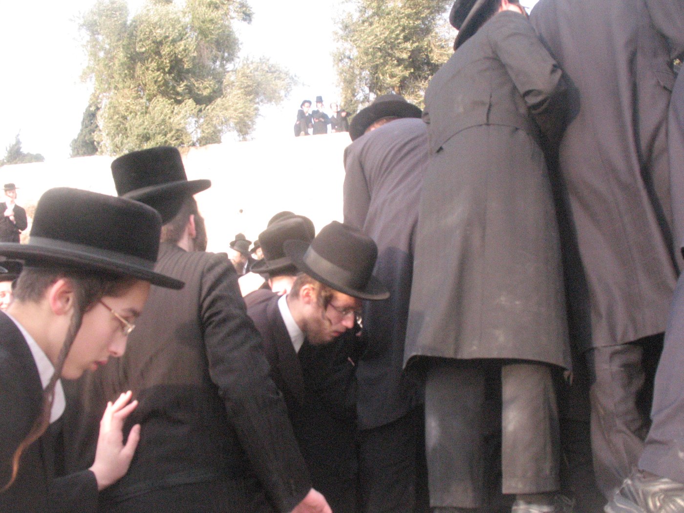 אלפים בהלווית מרן כ"ק האדמו"ר מזוויעהל זצ"ל