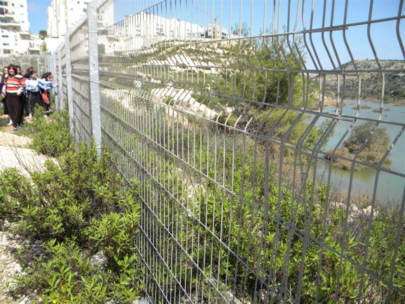 צפו בוידאו: "וינציה" של מודיעין-עלית