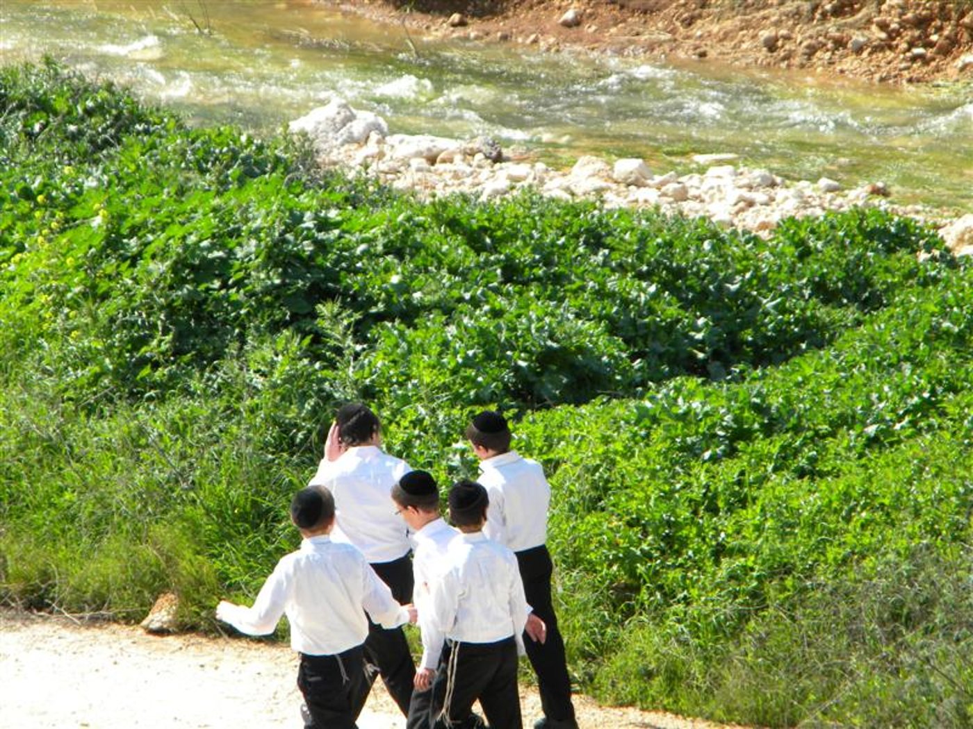 צפו בוידאו: "וינציה" של מודיעין-עלית