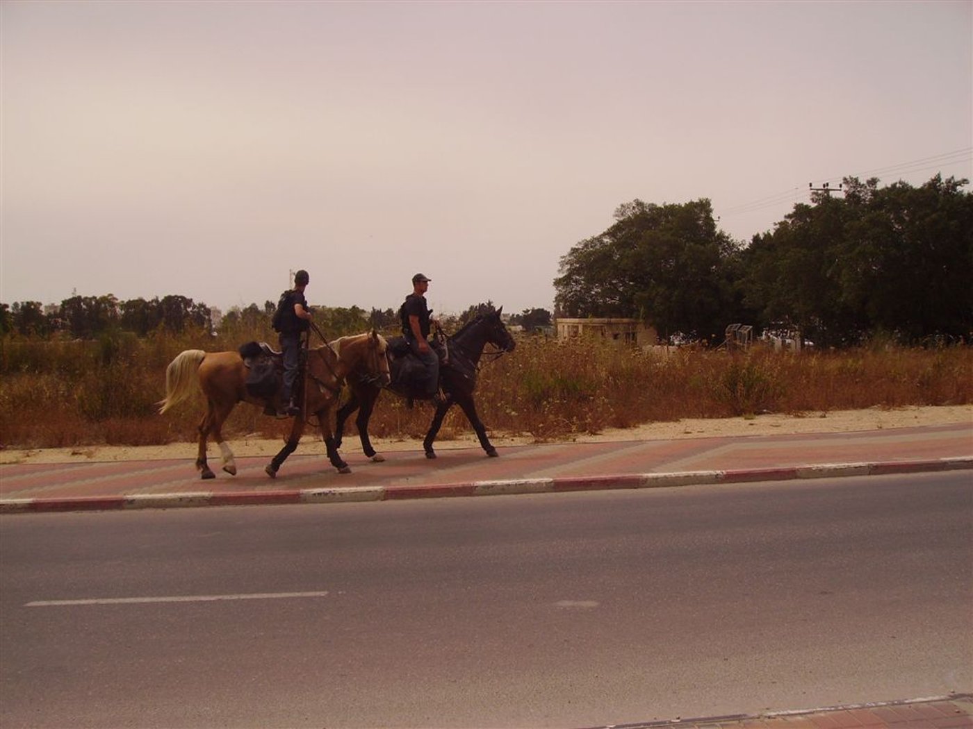 קביעה נחרצת: "העצמות שהתגלו - כולן של גויים"