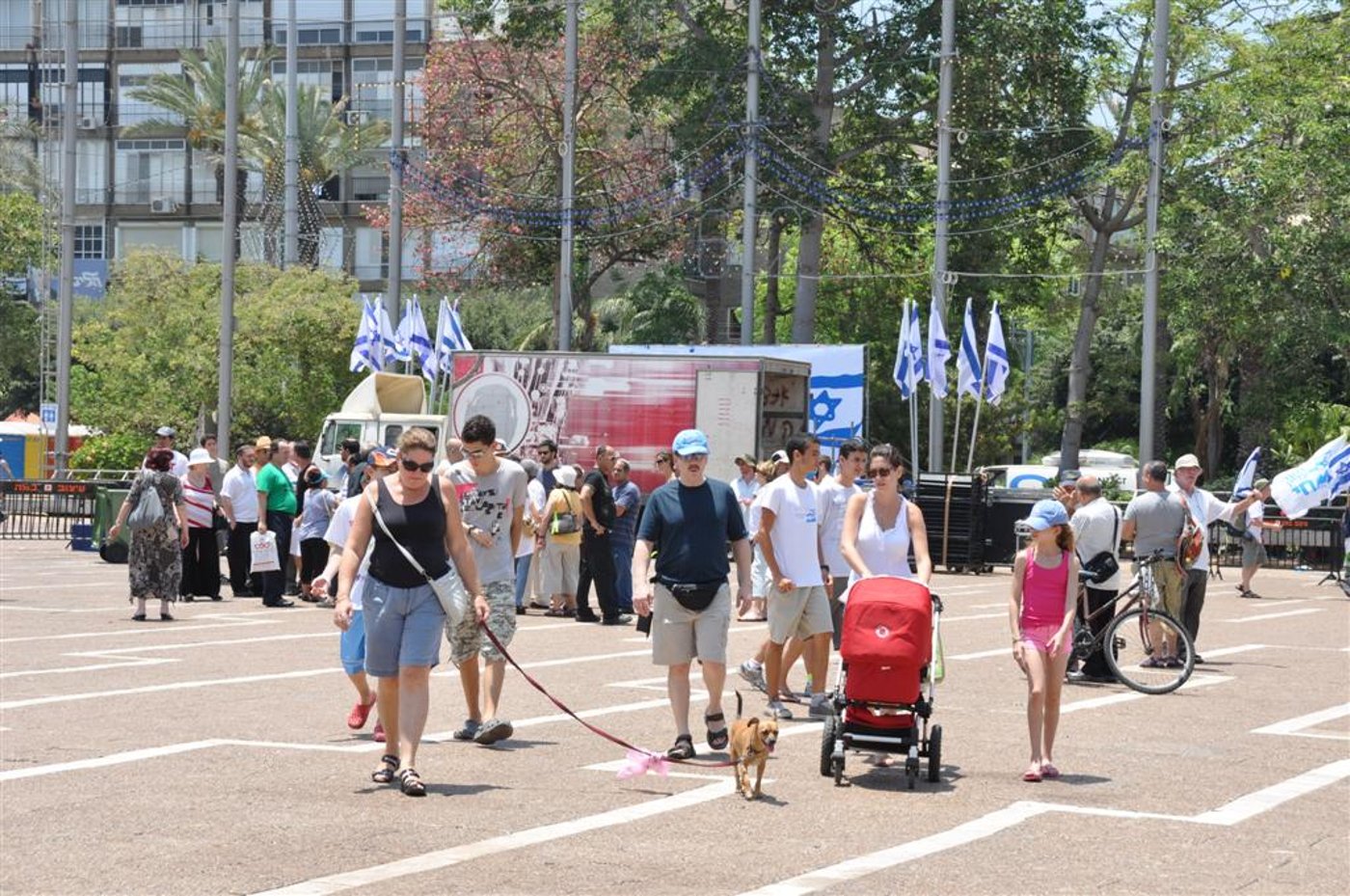 "תיקון הכללי", גרסת שליט. צפו