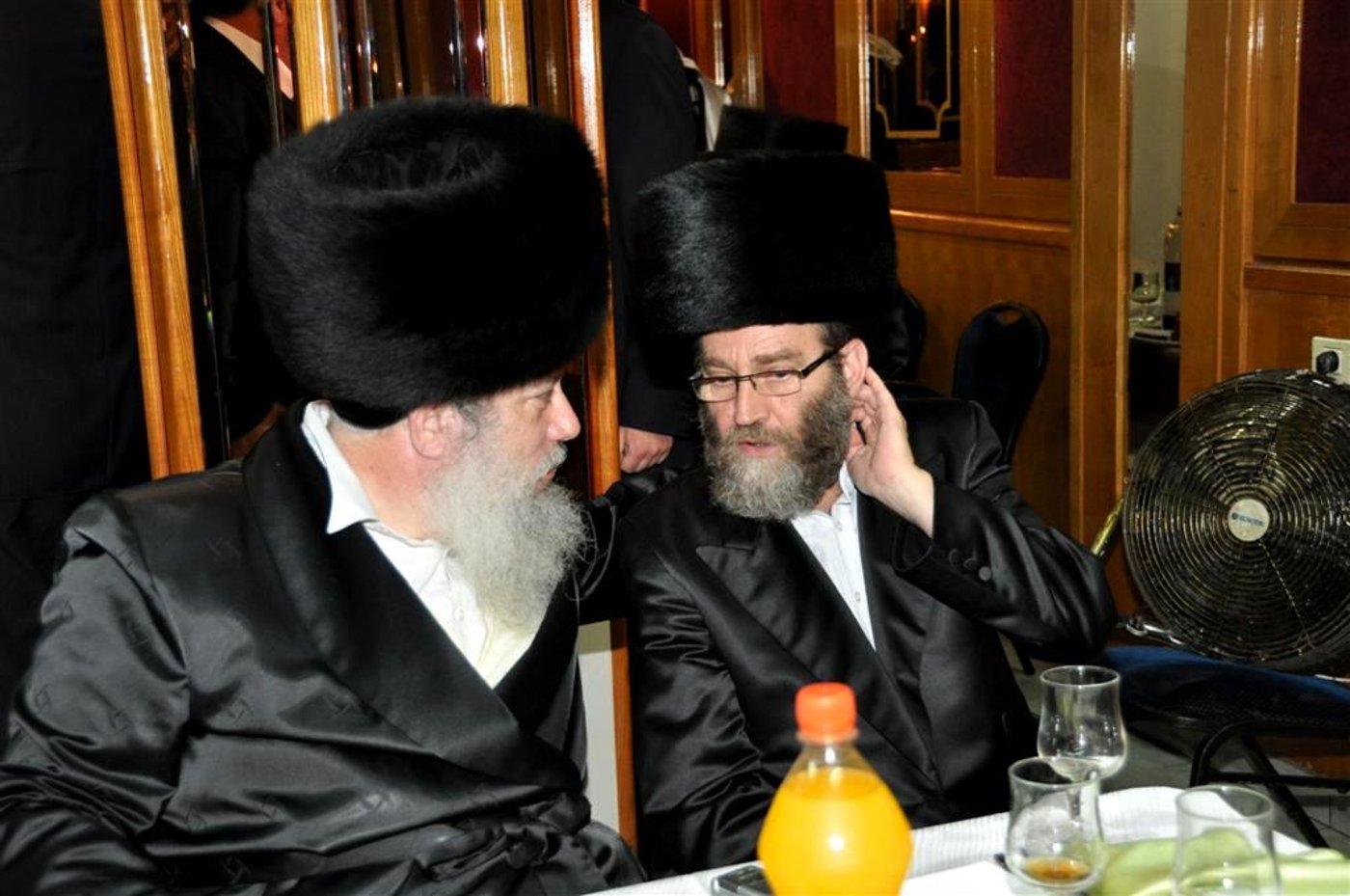 גפני וזייברט