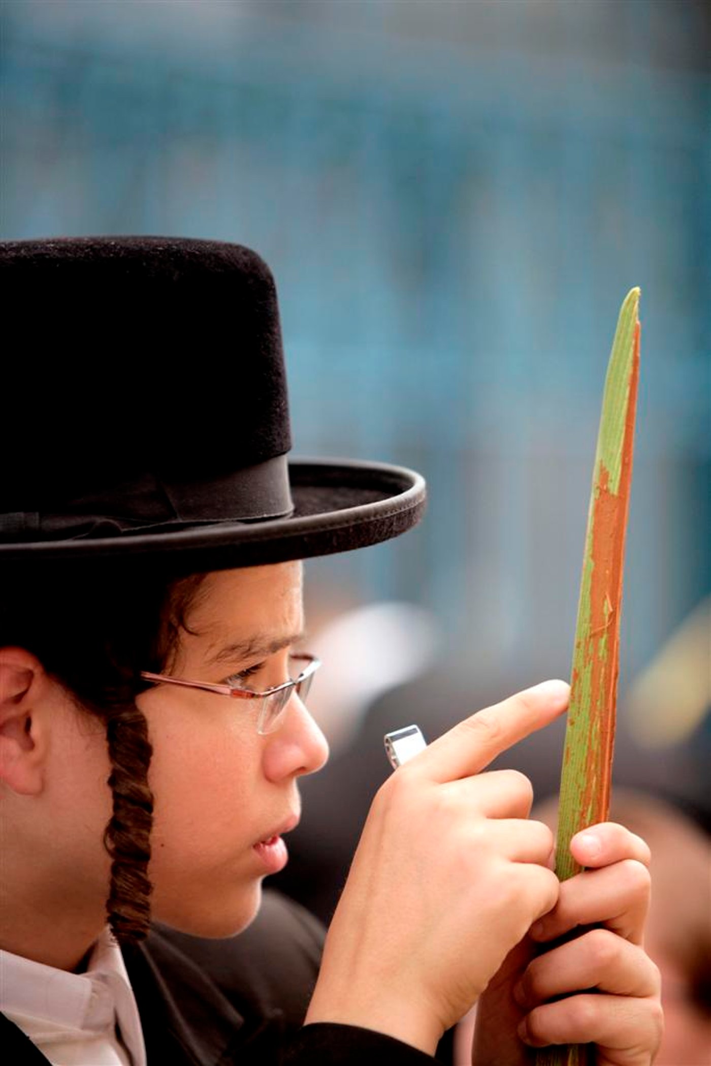 מאה שערים מתכוננת לסוכות