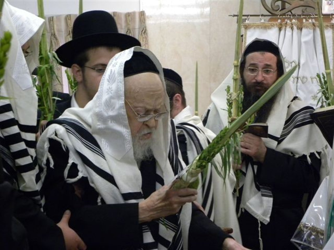 זה קלי ואנוהו: הגרי"ש אלישיב נוטל לולב