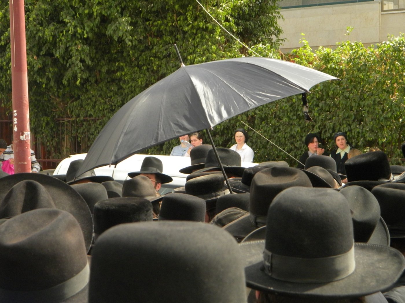 גלריה, וידאו: חגיגת בעל "שבט הלוי"