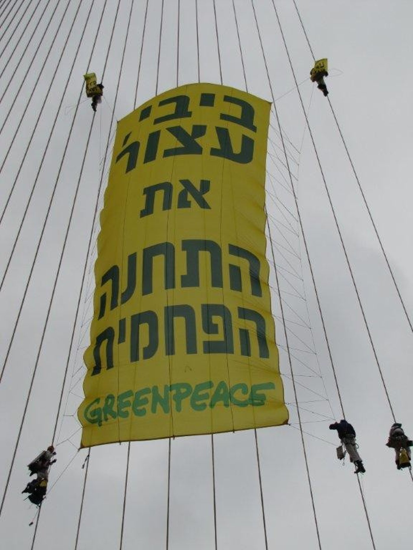 מחאת המיתרים: כך הם טיפסו
