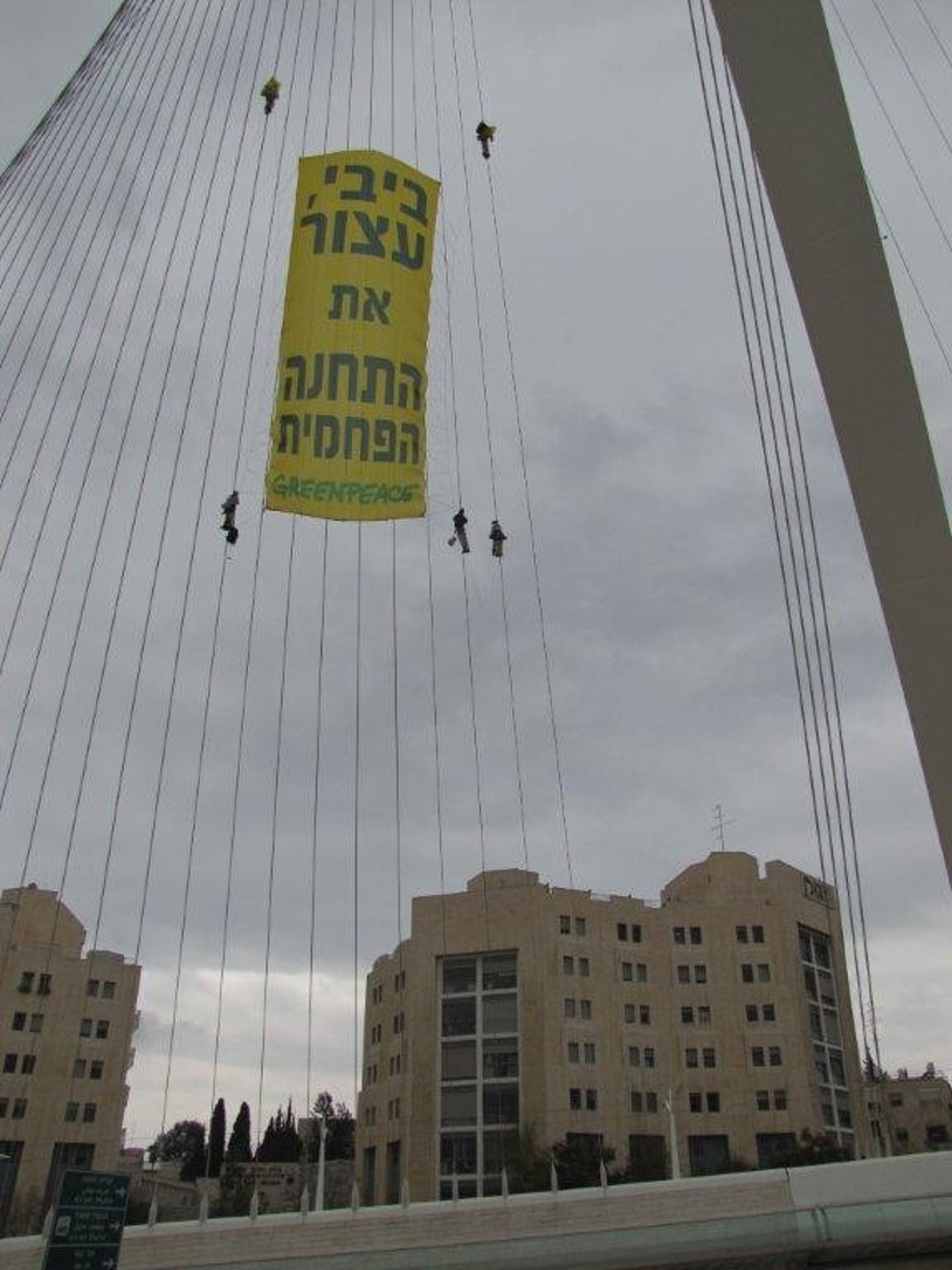 מחאת המיתרים: כך הם טיפסו